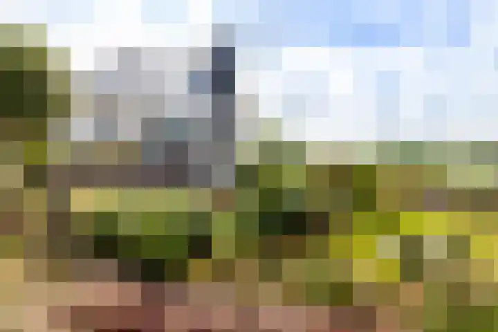 Nachtegaalspad 9 Woerdense Verlaat thumbnail 4