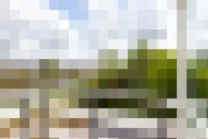 Nachtegaalspad 9 Woerdense Verlaat thumbnail 45