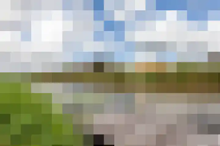 Nachtegaalspad 9 Woerdense Verlaat thumbnail 53