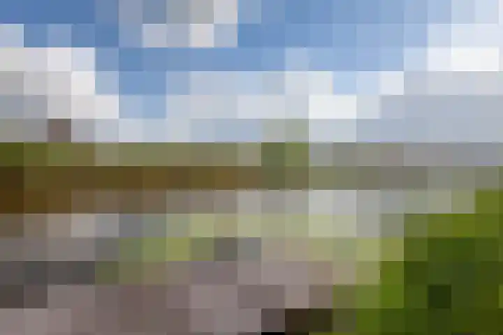 Nachtegaalspad 9 Woerdense Verlaat thumbnail 54
