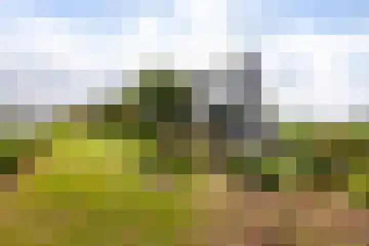 Nachtegaalspad 9 Woerdense Verlaat thumbnail 57