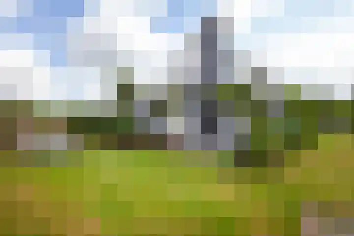 Nachtegaalspad 9 Woerdense Verlaat thumbnail 58