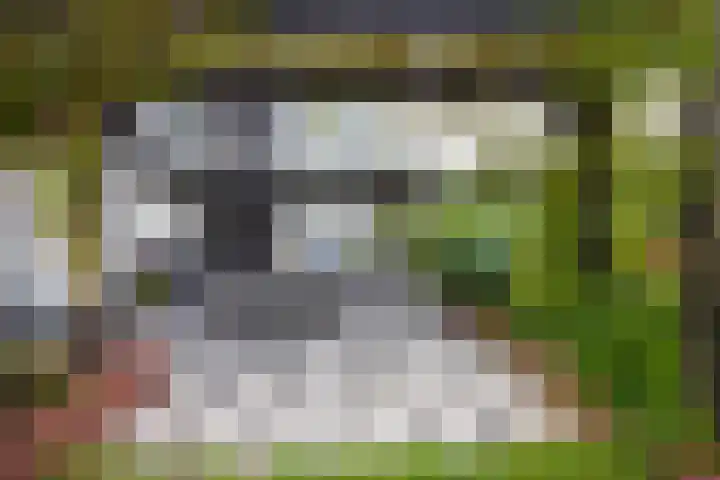 Nachtegaalspad 9 Woerdense Verlaat thumbnail 59