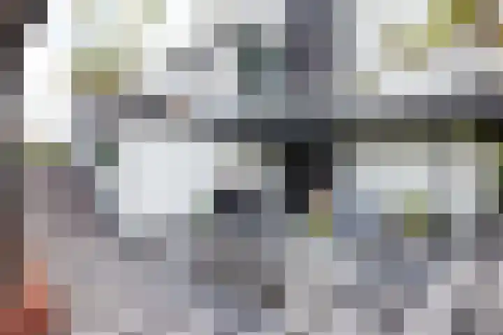 Nachtegaalspad 9 Woerdense Verlaat thumbnail 60