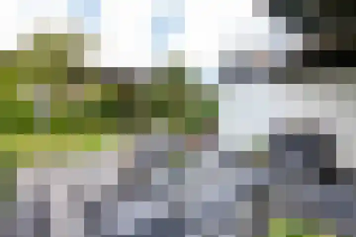 Nachtegaalspad 9 Woerdense Verlaat thumbnail 61