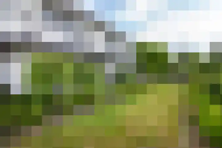 Nachtegaalspad 9 Woerdense Verlaat thumbnail 62