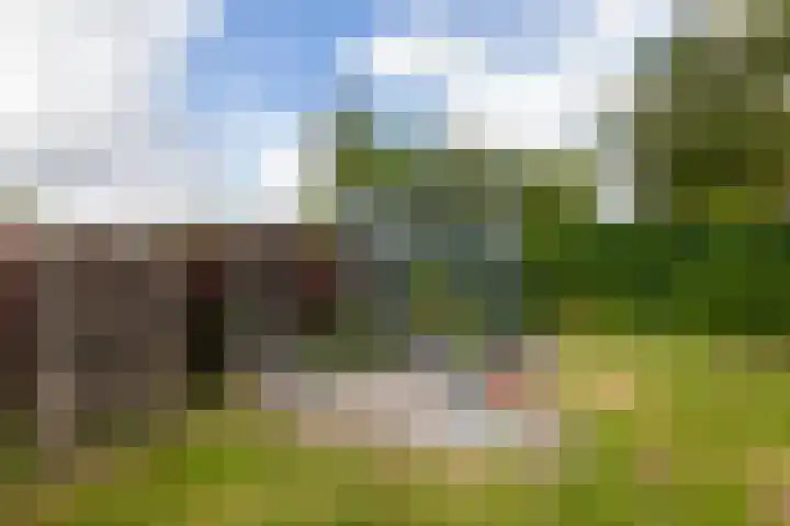 Nachtegaalspad 9 Woerdense Verlaat thumbnail 63