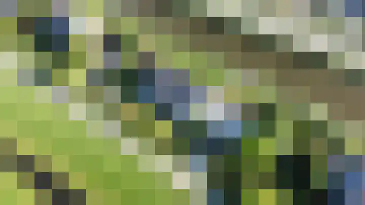 Nachtegaalspad 9 Woerdense Verlaat thumbnail 64