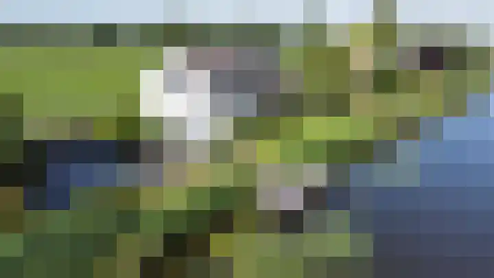 Nachtegaalspad 9 Woerdense Verlaat thumbnail 67