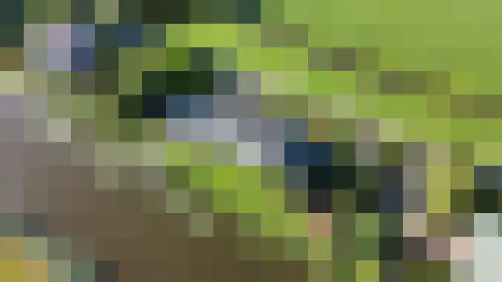Nachtegaalspad 9 Woerdense Verlaat thumbnail 68