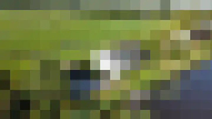 Nachtegaalspad 9 Woerdense Verlaat thumbnail 75