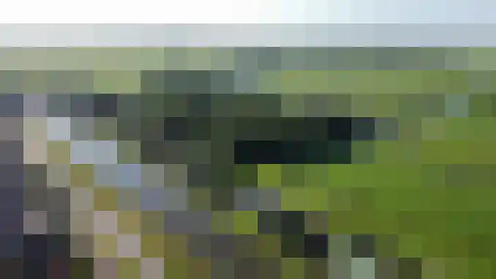 Nachtegaalspad 9 Woerdense Verlaat thumbnail 77