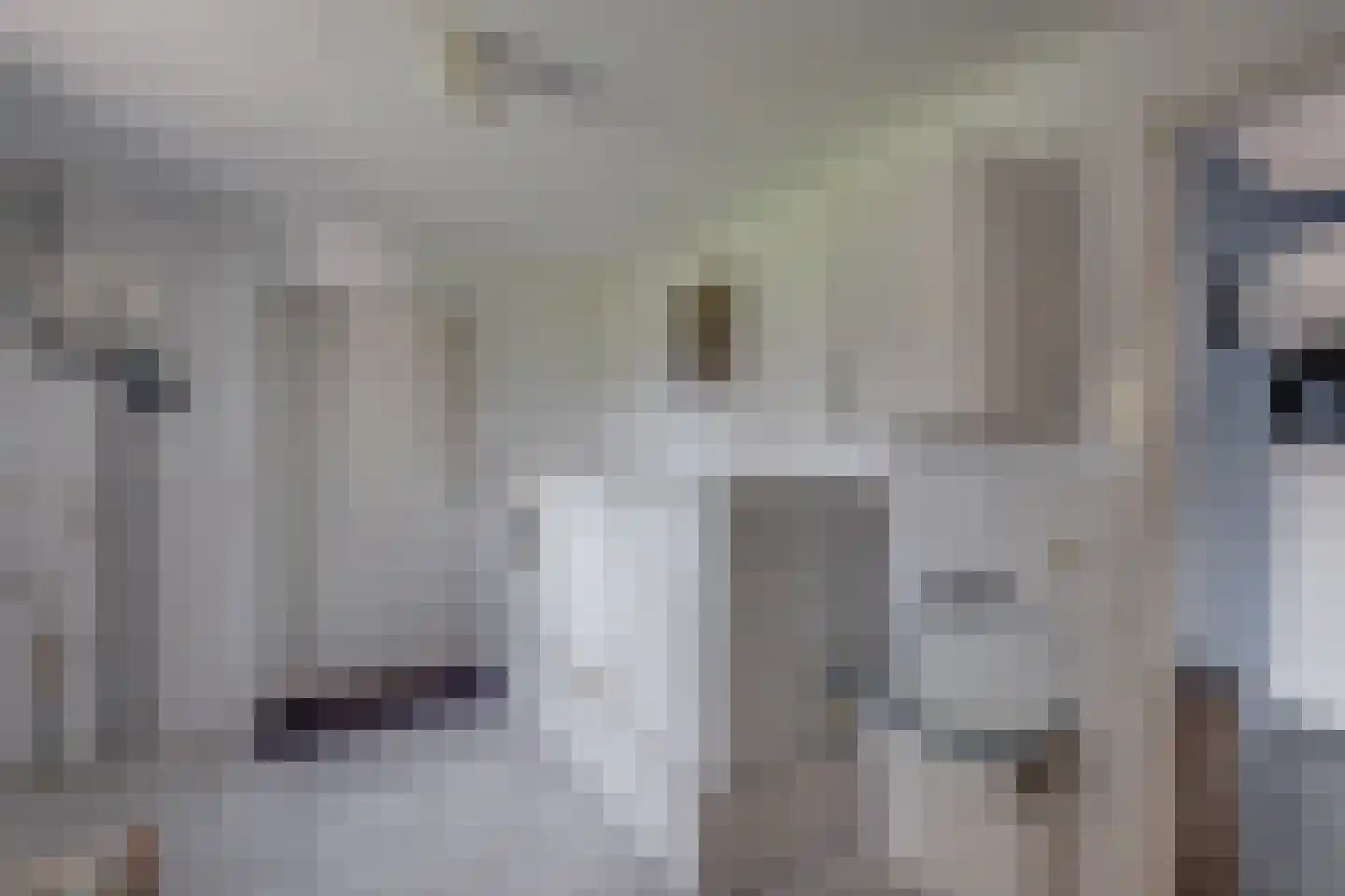 Nachtegaalstraat 1 Eefde thumbnail 13