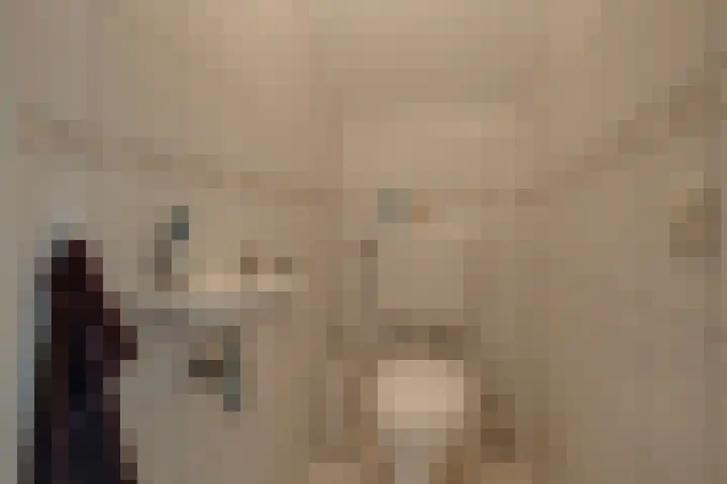 Nachtegaalstraat 1 Eefde thumbnail 16