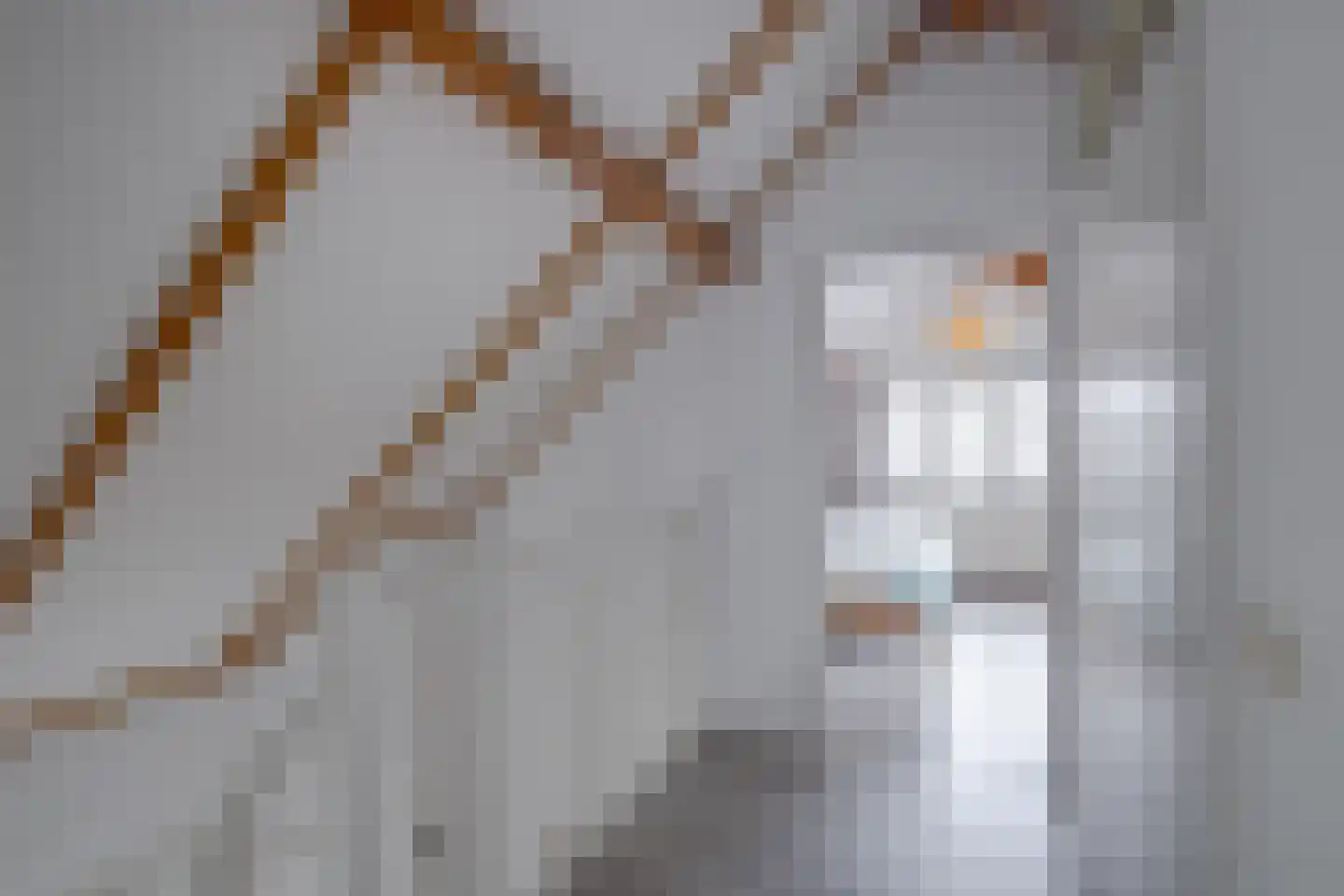 Nachtegaalstraat 1 Eefde thumbnail 18