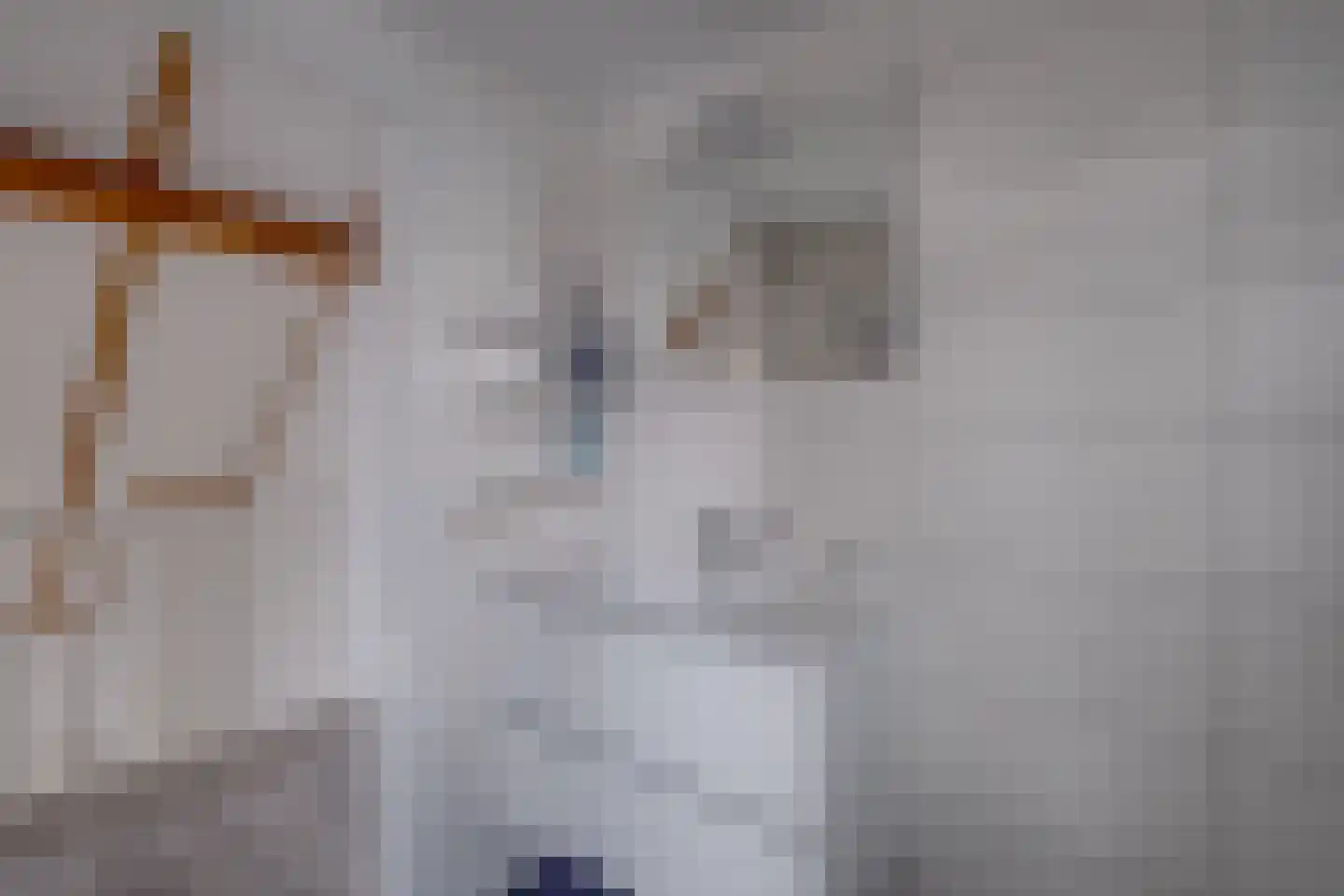 Nachtegaalstraat 1 Eefde thumbnail 22