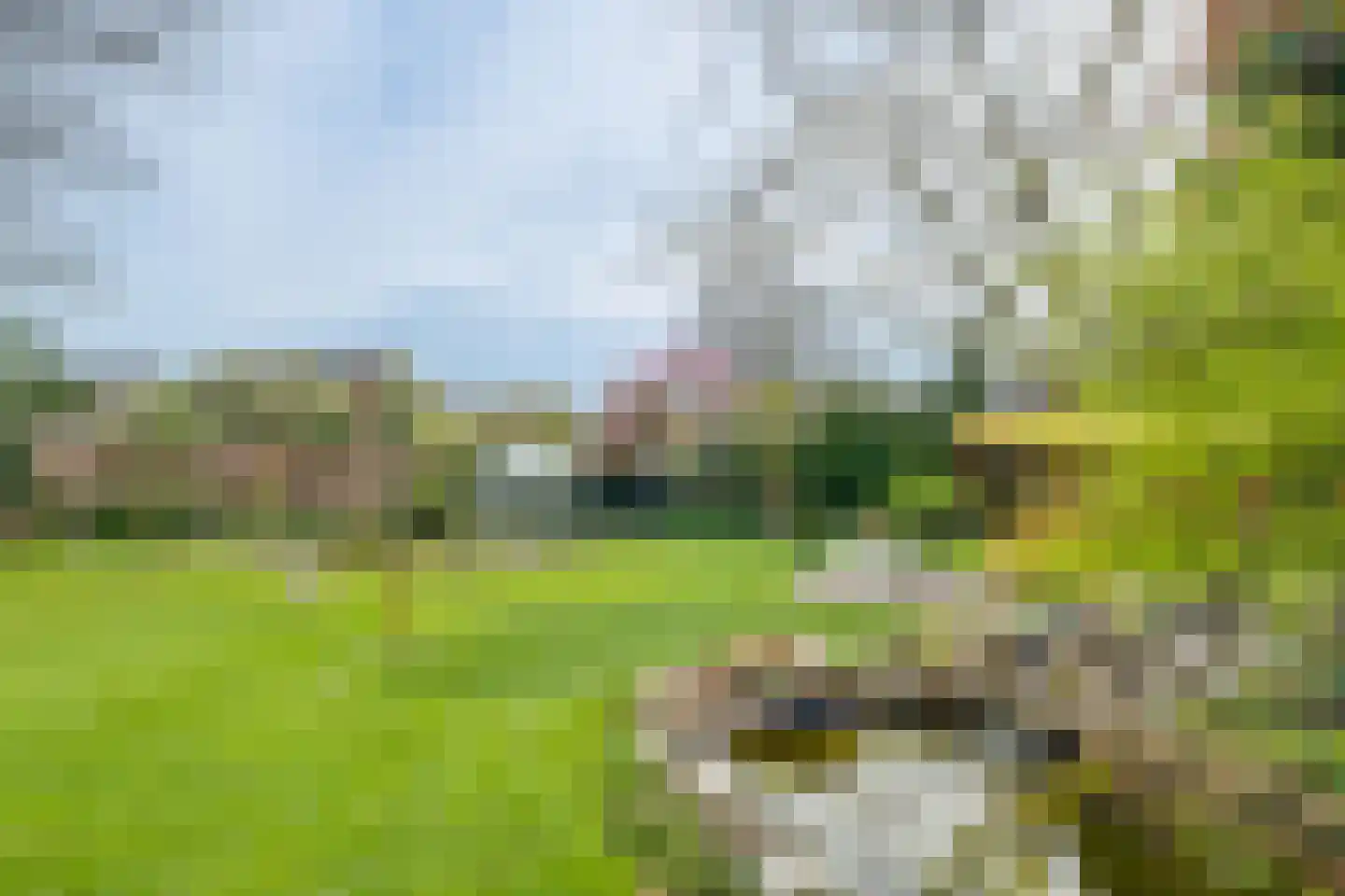 Nachtegaalstraat 1 Eefde thumbnail 26