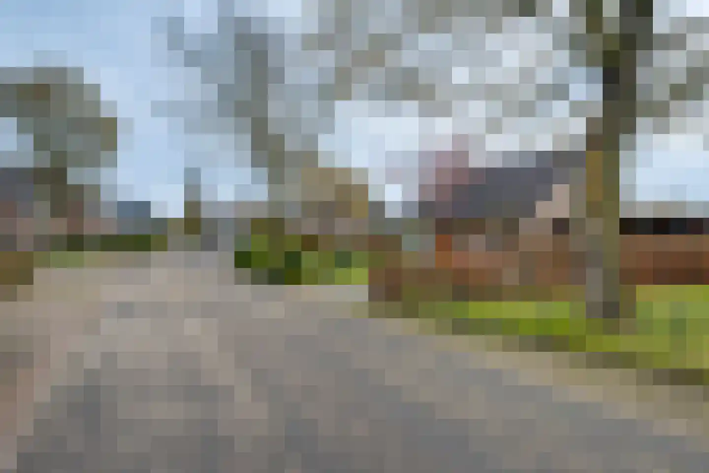 Nachtegaalstraat 1 Eefde thumbnail 30