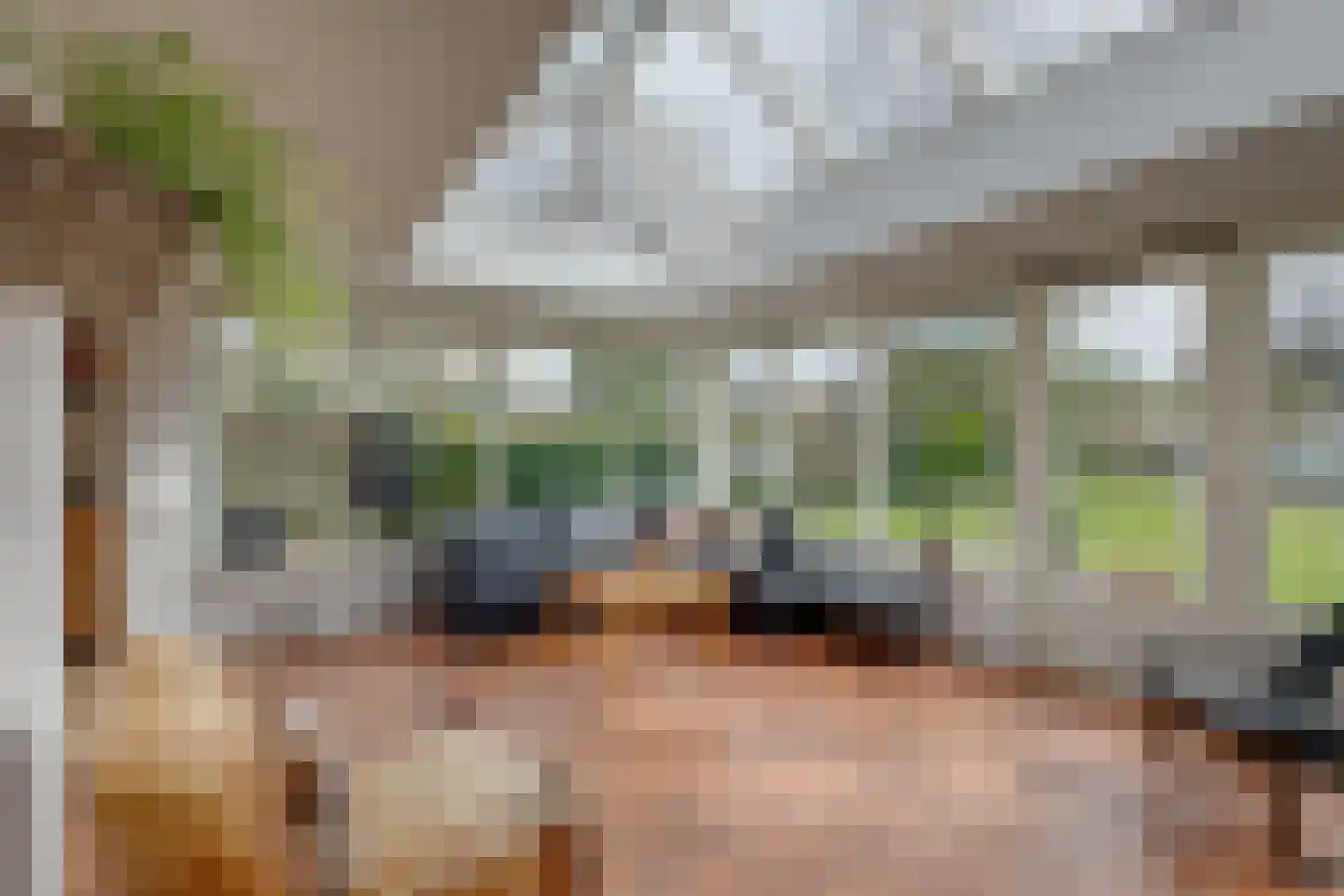 Nachtegaalstraat 1 Eefde thumbnail 8