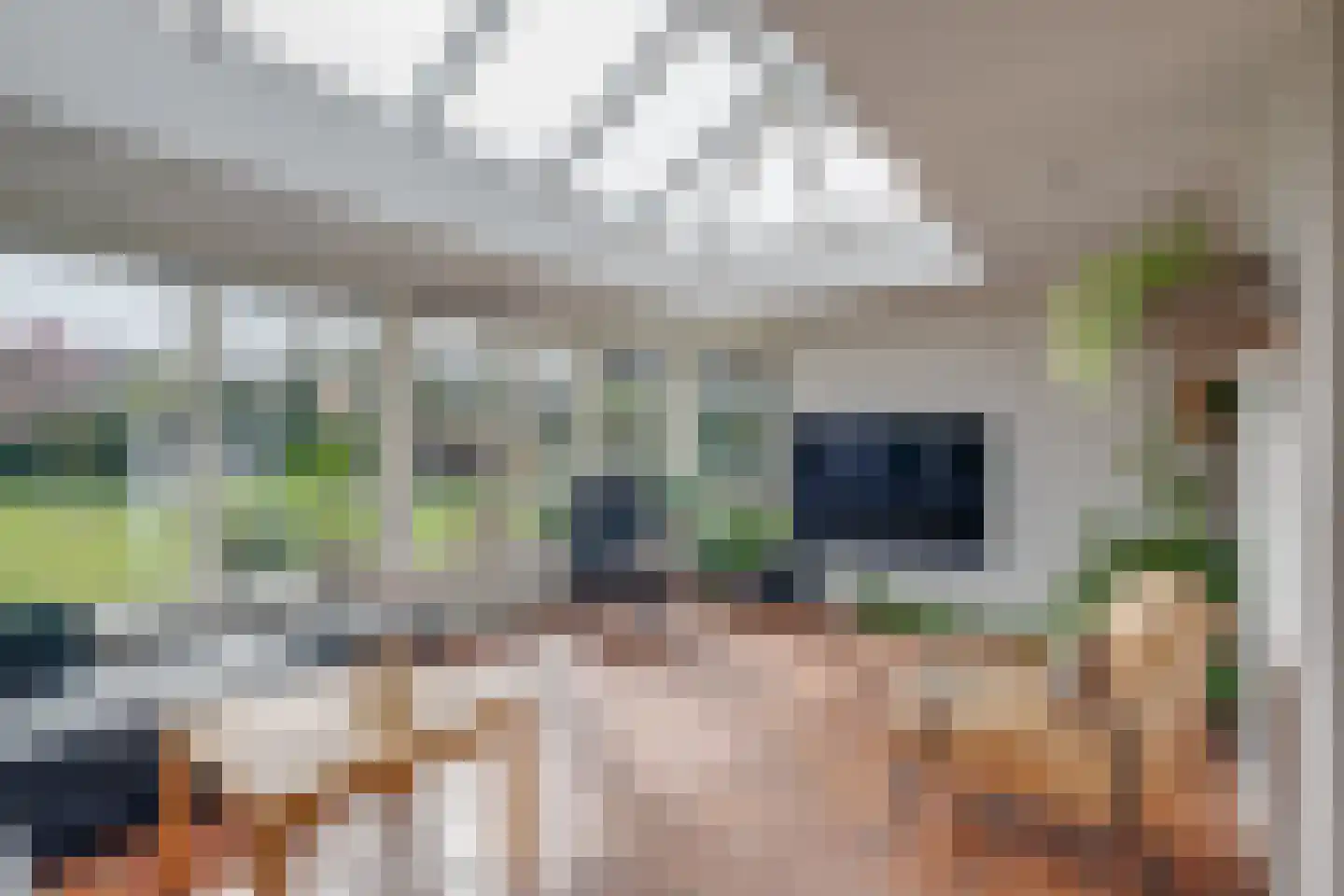 Nachtegaalstraat 1 Eefde thumbnail 9