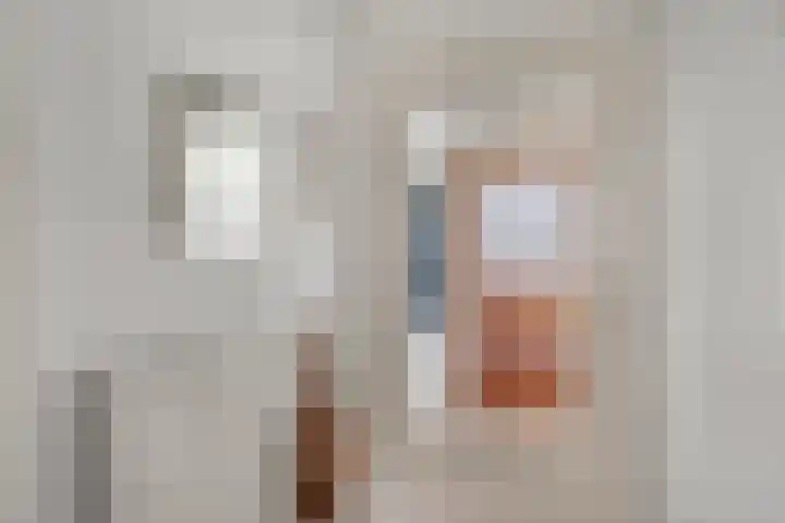Nachtegaalstraat 1 Sint-Michielsgestel thumbnail 6