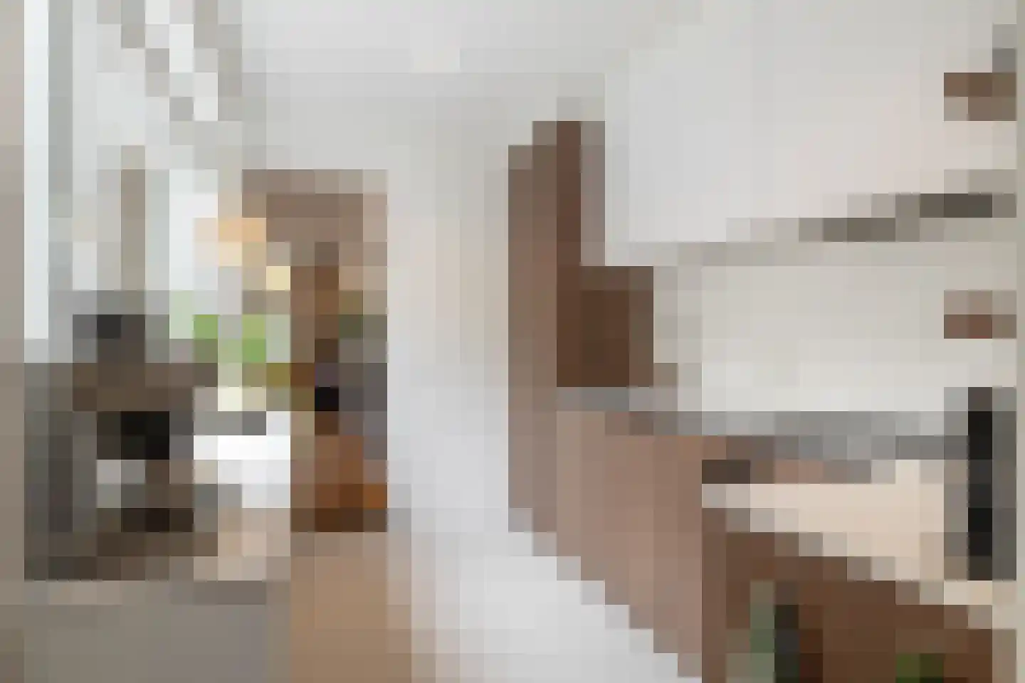 Nachtegaalstraat 10 Breda thumbnail 11