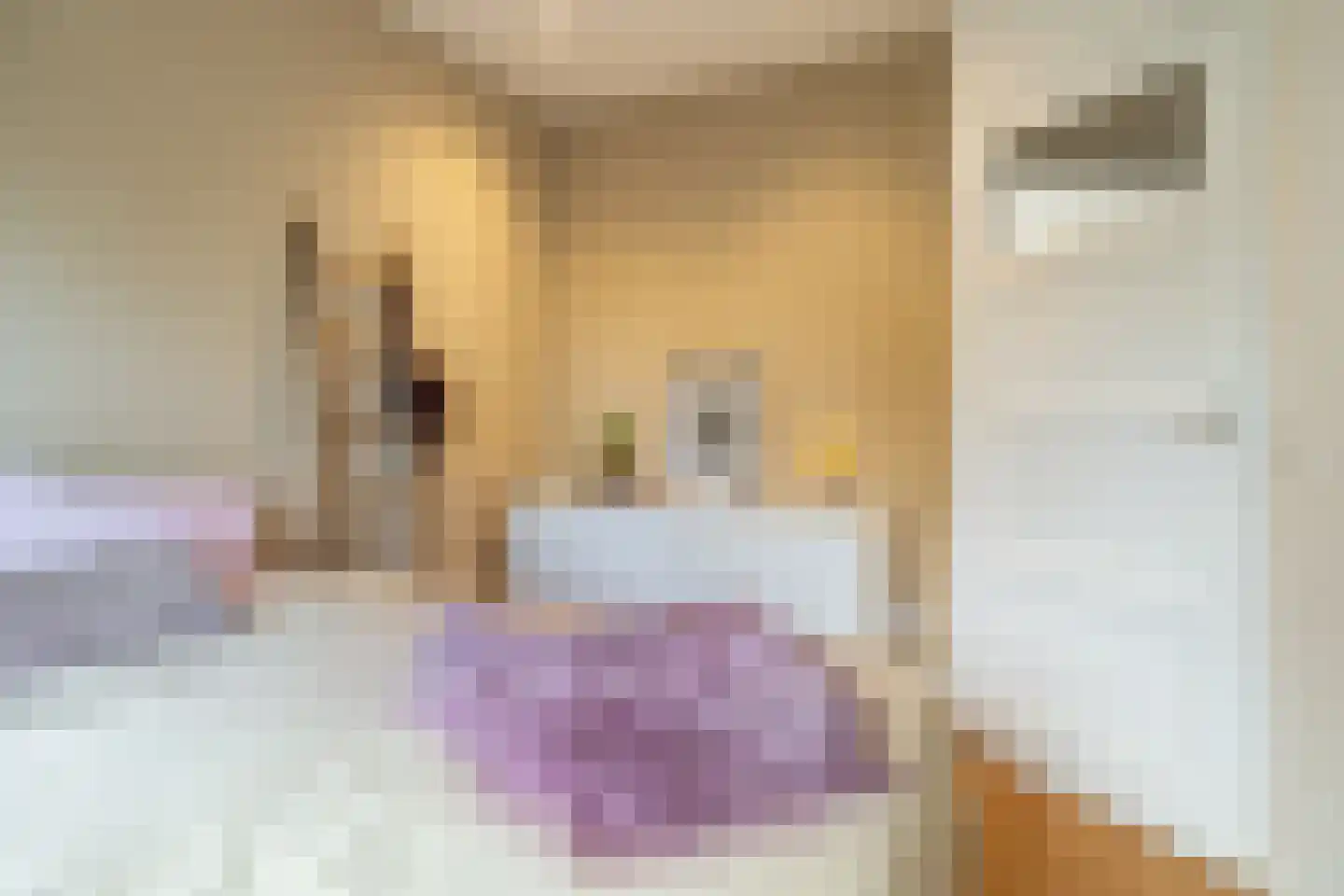 Nachtegaalstraat 10 Breda thumbnail 18