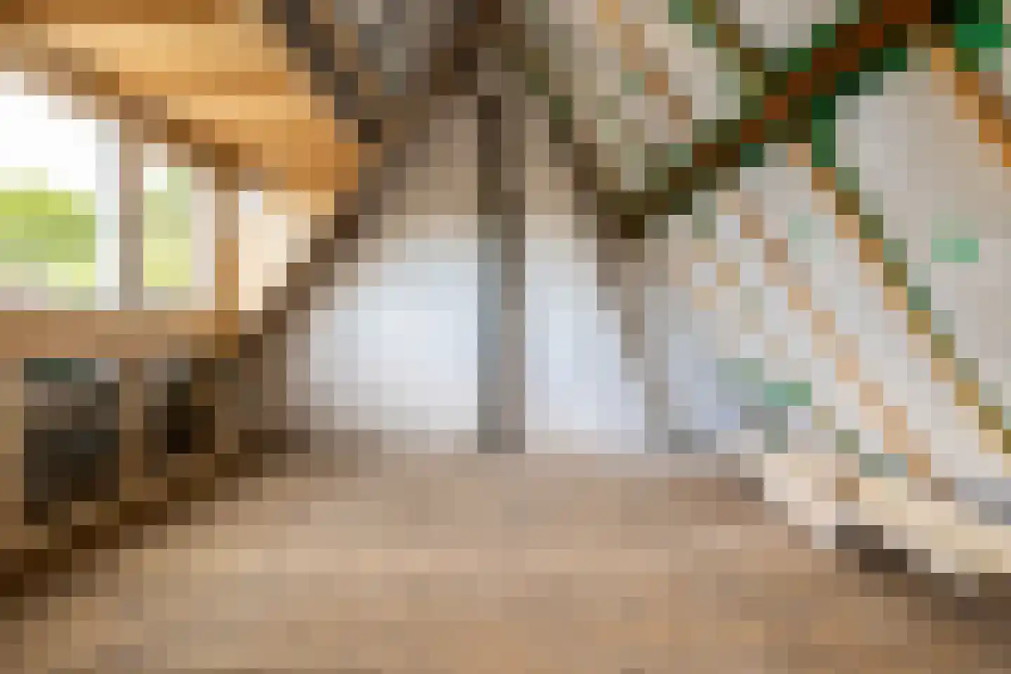 Nachtegaalstraat 10 Breda thumbnail 29