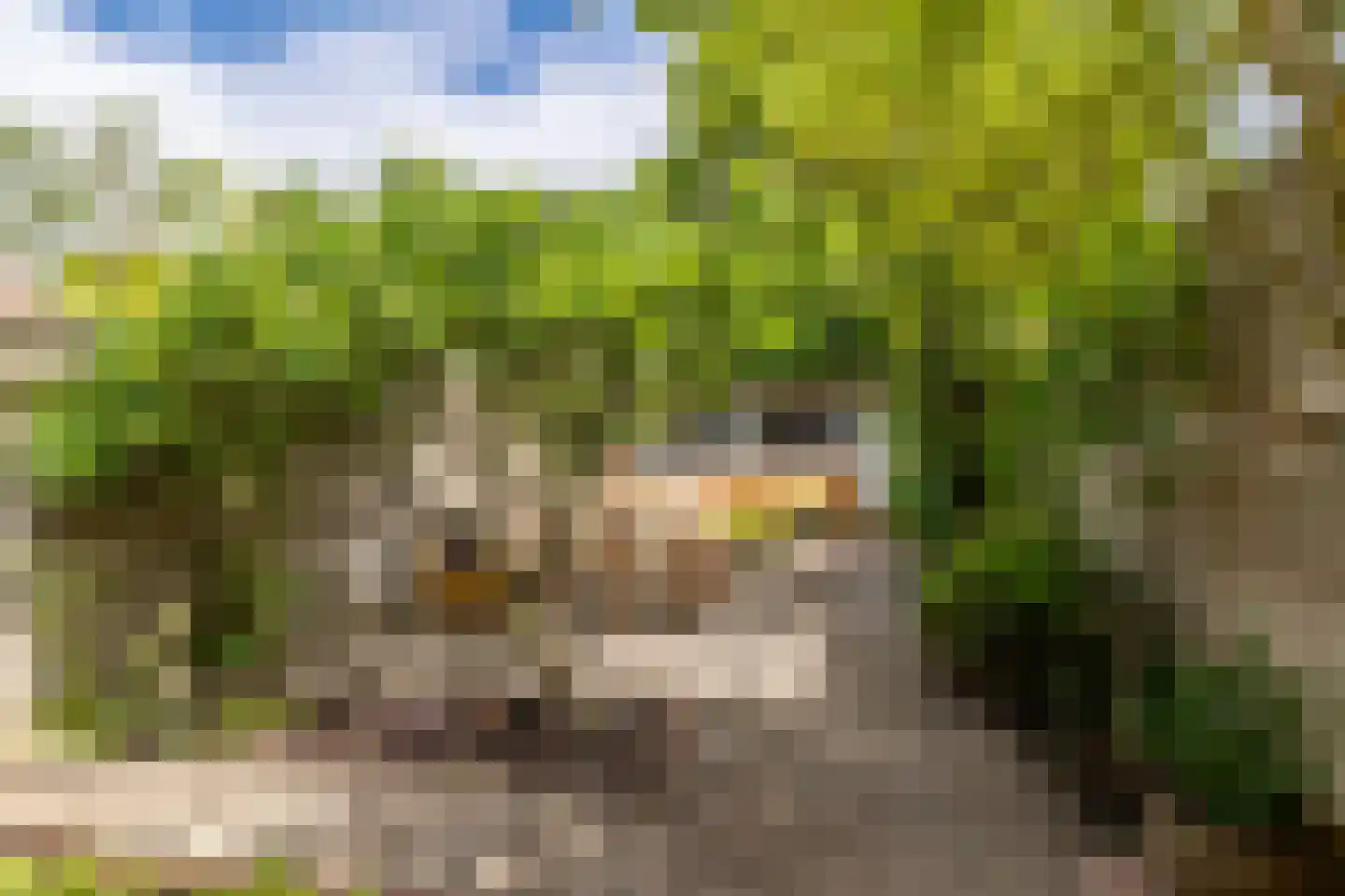 Nachtegaalstraat 10 Breda thumbnail 32