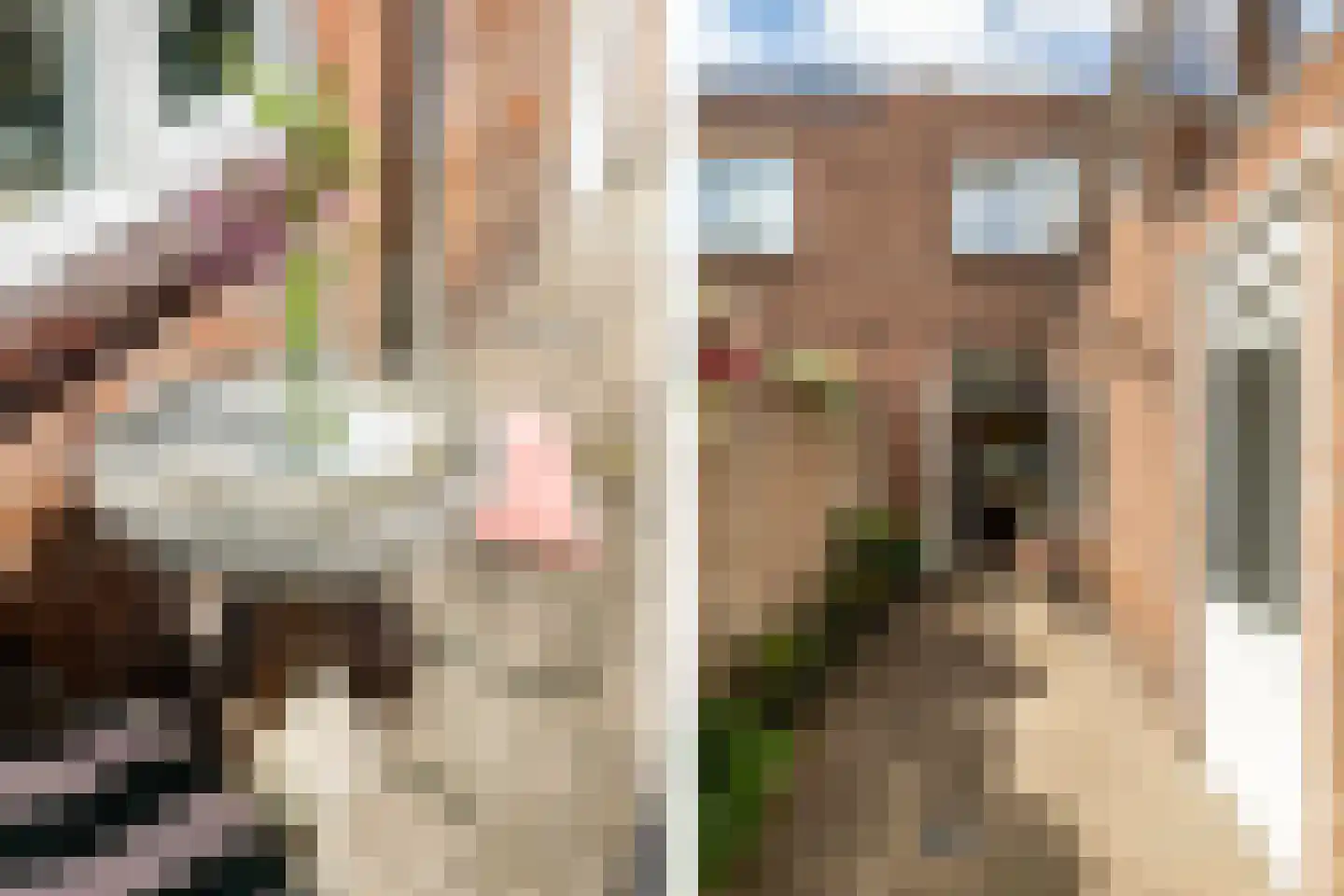 Nachtegaalstraat 10 Breda thumbnail 34