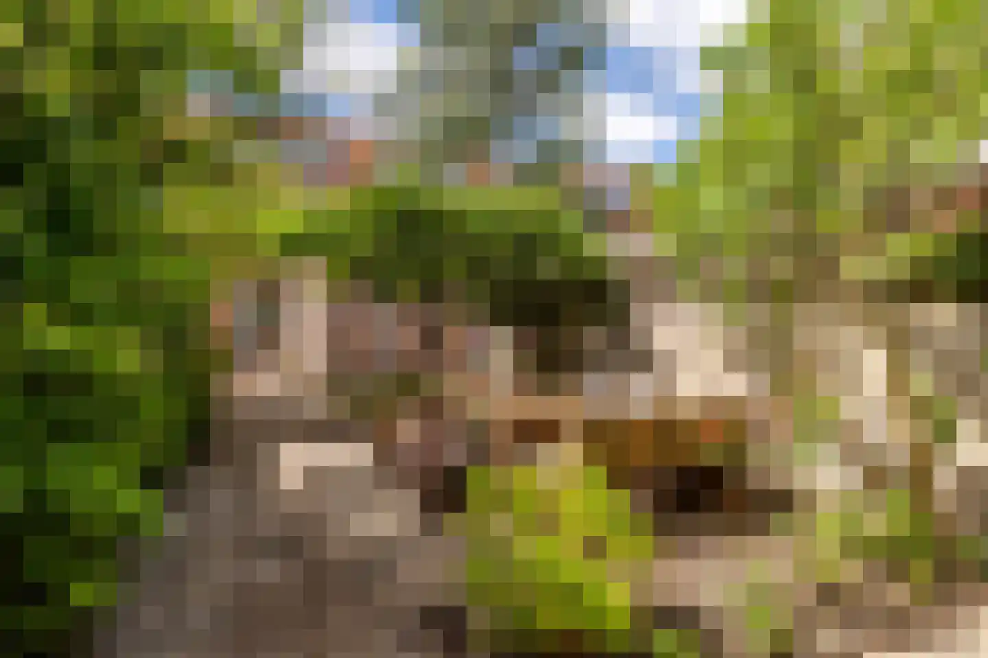 Nachtegaalstraat 10 Breda thumbnail 35