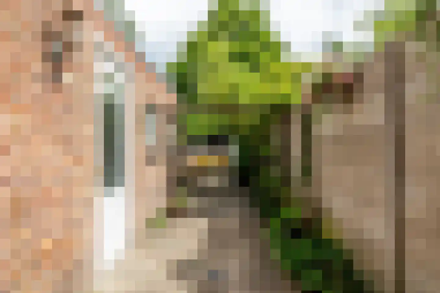 Nachtegaalstraat 10 Breda thumbnail 37