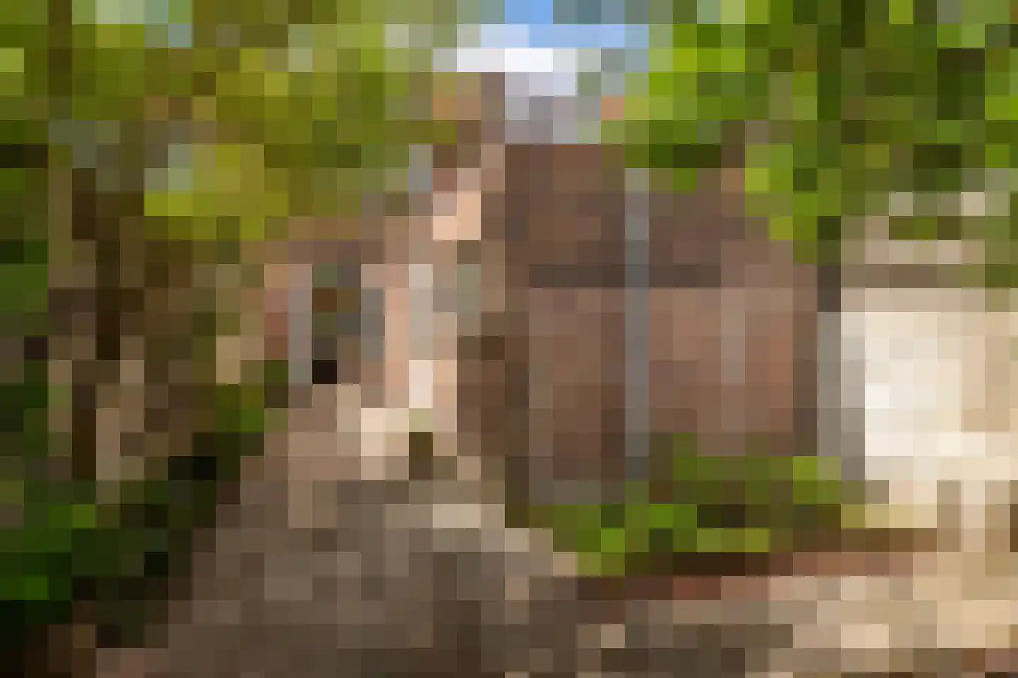Nachtegaalstraat 10 Breda thumbnail 38