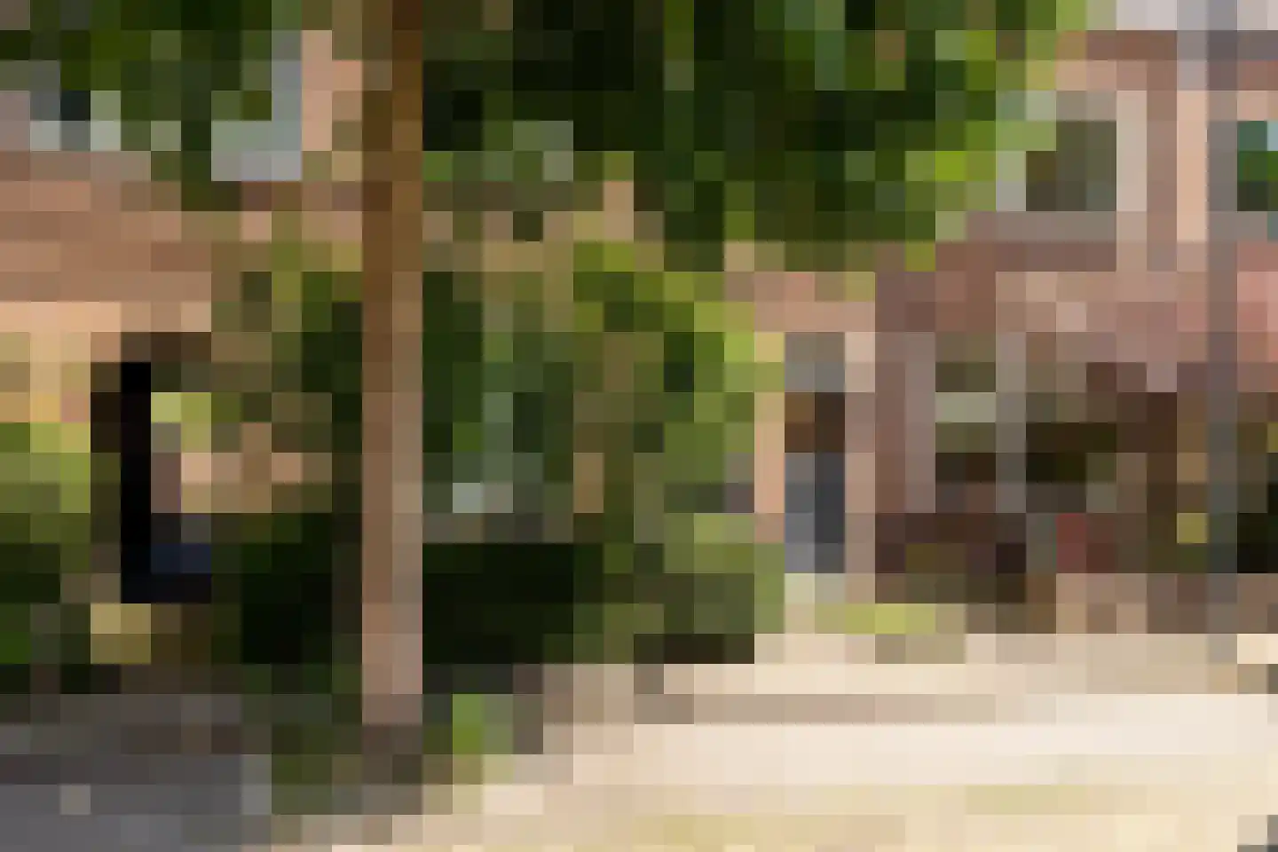 Nachtegaalstraat 10 Breda thumbnail 39