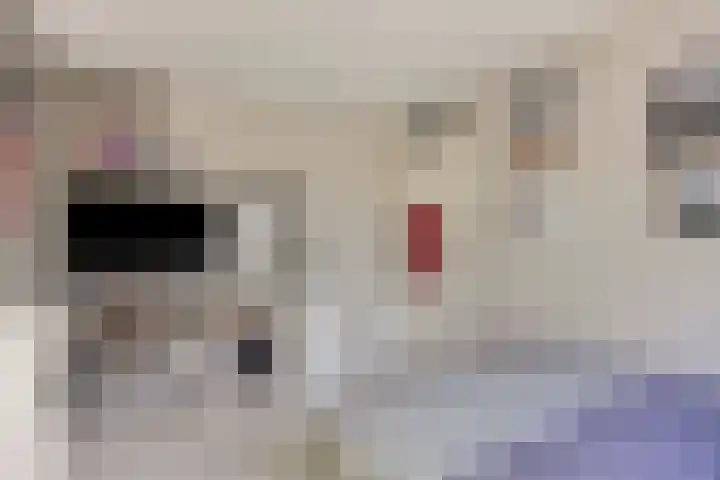 Nachtegaalstraat 10 Sommelsdijk thumbnail 12