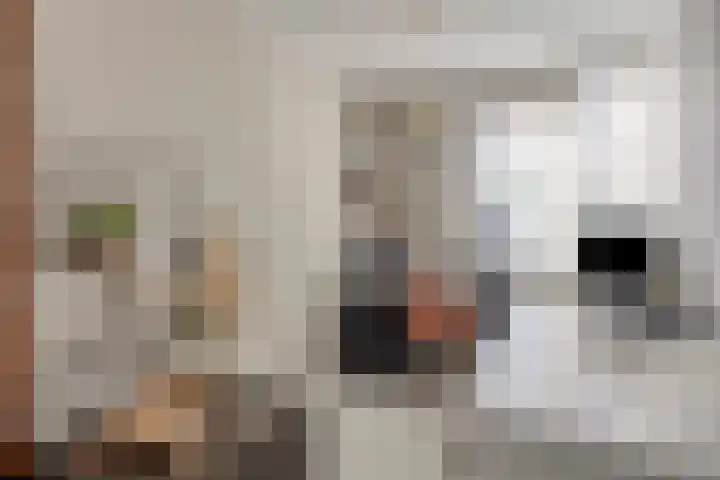 Nachtegaalstraat 10 Sommelsdijk thumbnail 13