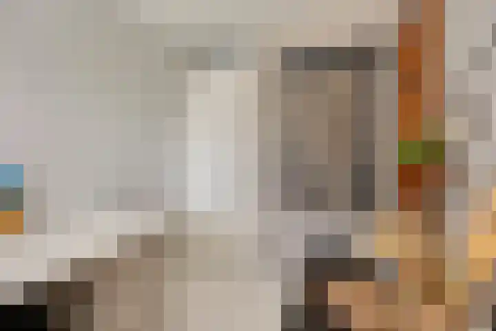 Nachtegaalstraat 10 Sommelsdijk thumbnail 14