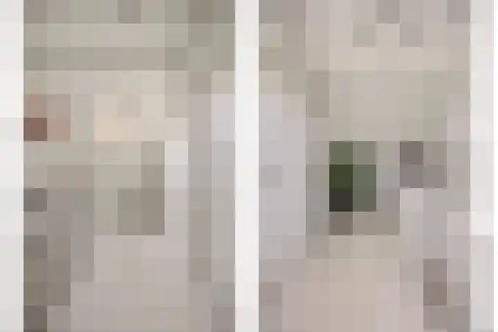 Nachtegaalstraat 10 Sommelsdijk thumbnail 17