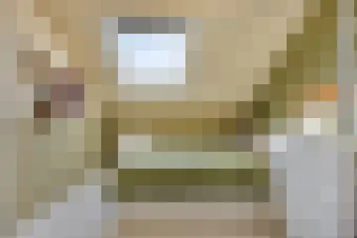 Nachtegaalstraat 10 Sommelsdijk thumbnail 18