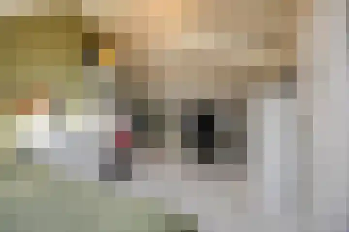 Nachtegaalstraat 10 Sommelsdijk thumbnail 19