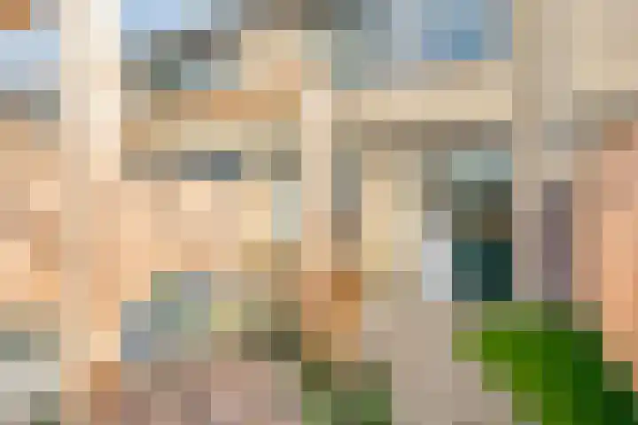 Nachtegaalstraat 10 Sommelsdijk thumbnail 20