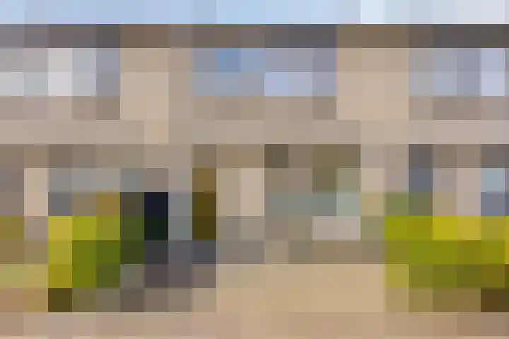 Nachtegaalstraat 10 Sommelsdijk thumbnail 24