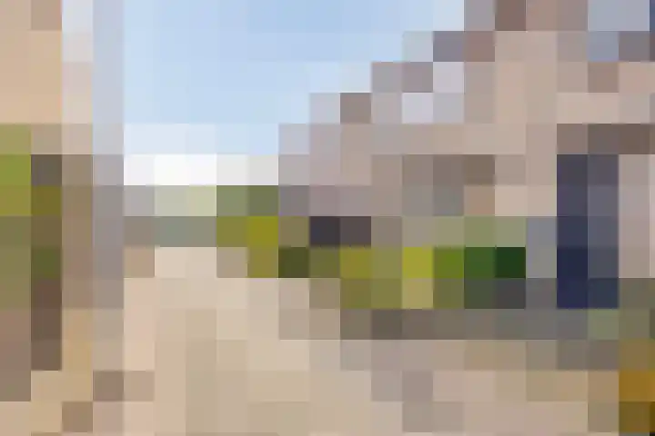 Nachtegaalstraat 10 Sommelsdijk thumbnail 25