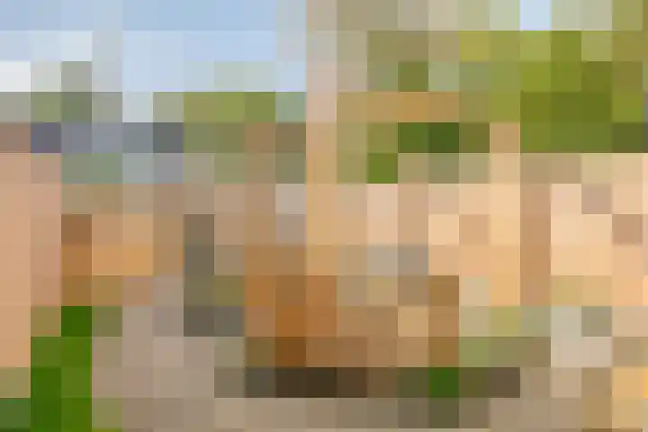 Nachtegaalstraat 10 Sommelsdijk thumbnail 4
