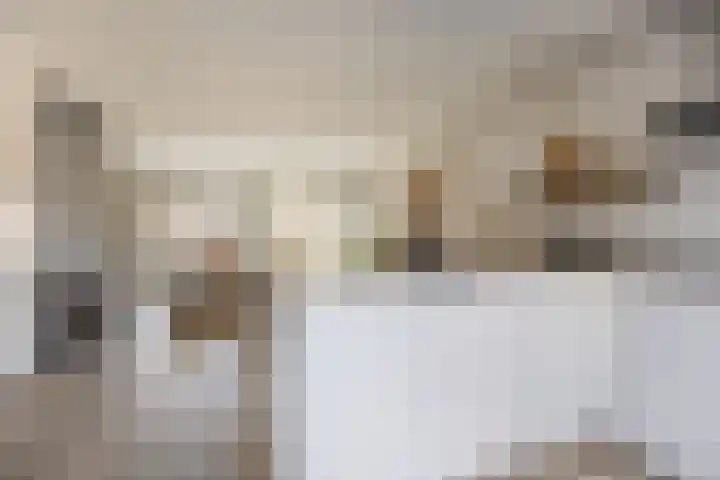 Nachtegaalstraat 10 Sommelsdijk thumbnail 6