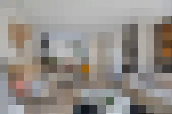 Nachtegaalstraat 10 Sommelsdijk thumbnail 8