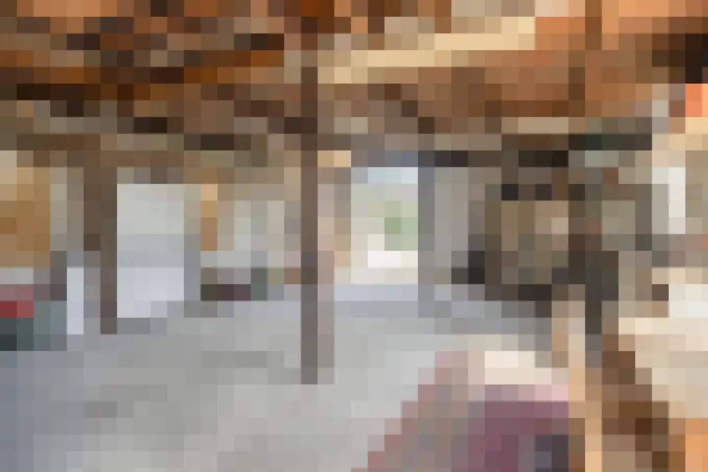 Nachtegaalstraat 10 St. Willebrord thumbnail 20