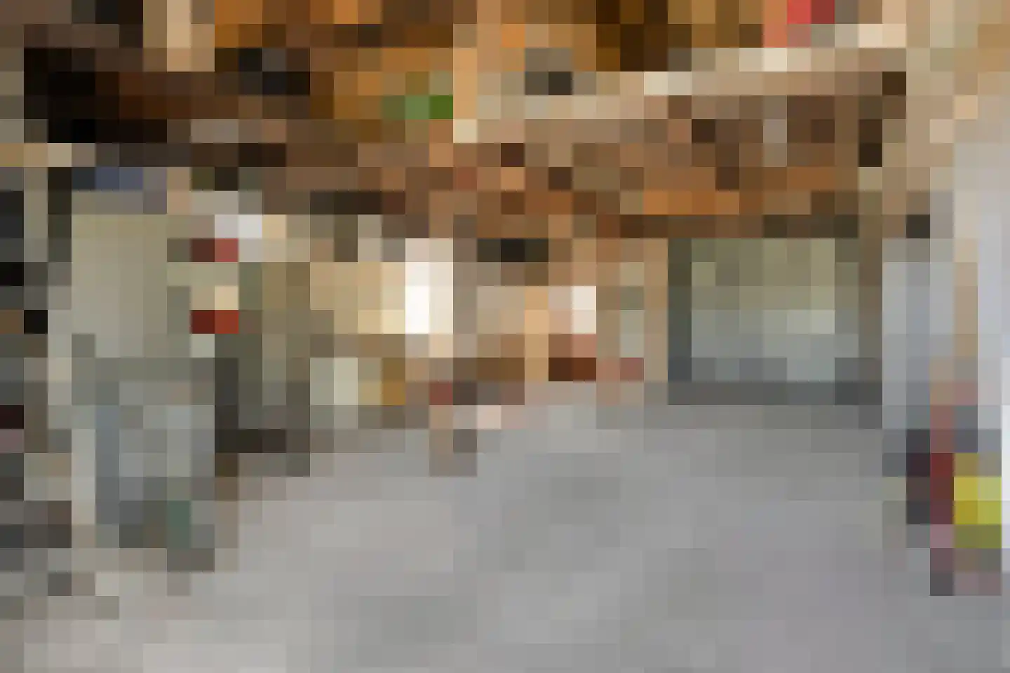 Nachtegaalstraat 10 St. Willebrord thumbnail 21