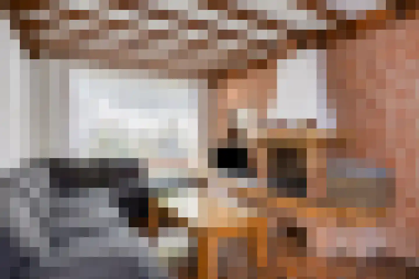 Nachtegaalstraat 10 St. Willebrord thumbnail 6