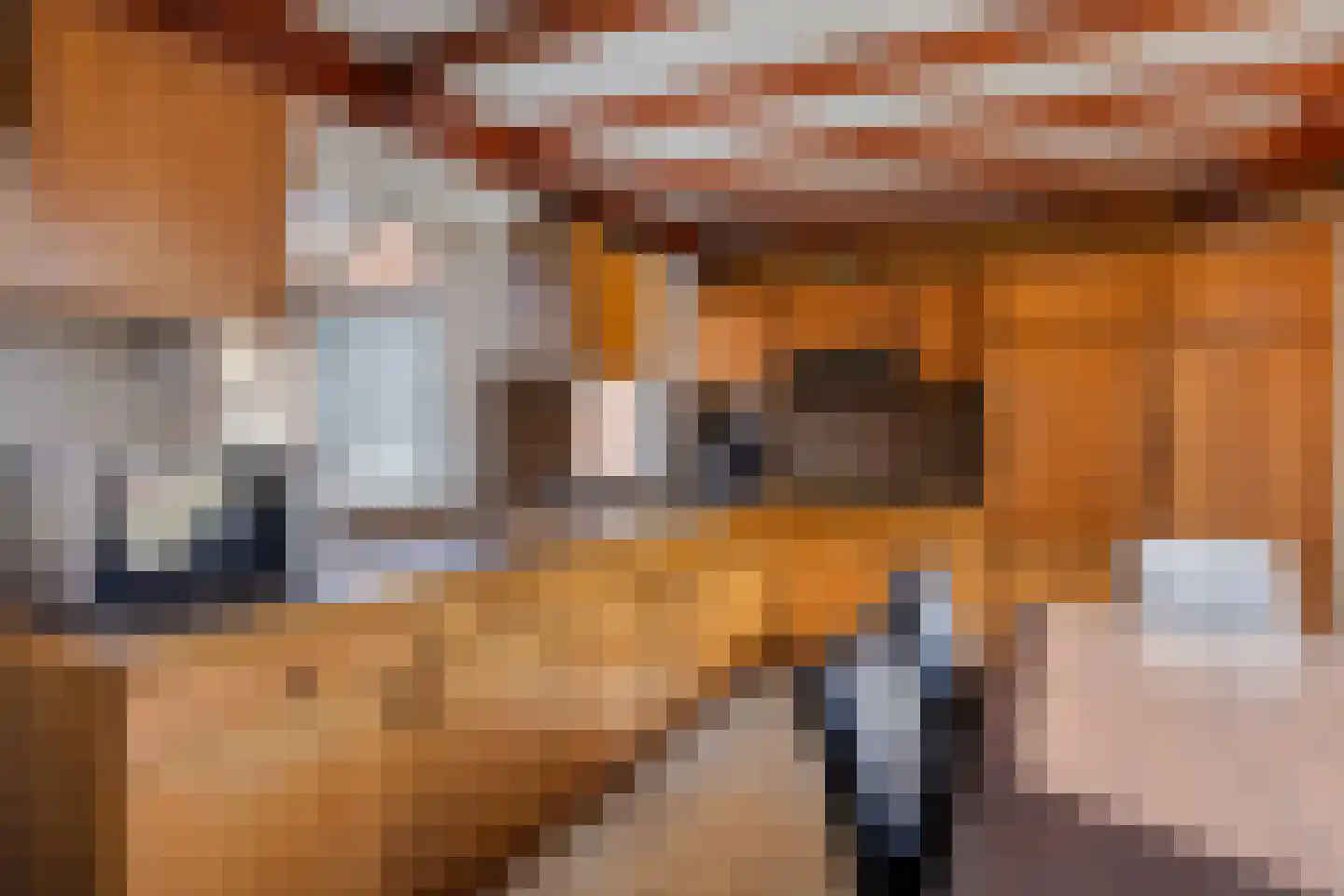 Nachtegaalstraat 10 St. Willebrord thumbnail 9